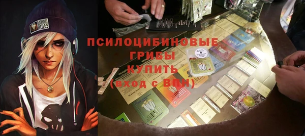 соль ск Балахна